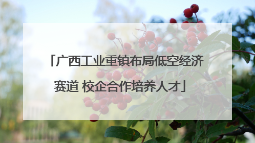 广西工业重镇布局低空经济赛道 校企合作培养人才