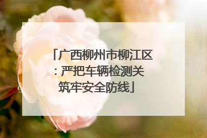 广西柳州市柳江区：严把车辆检测关 筑牢安全防线