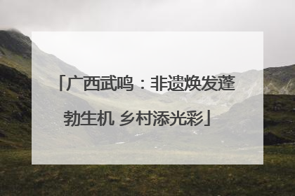 广西武鸣：非遗焕发蓬勃生机 乡村添光彩