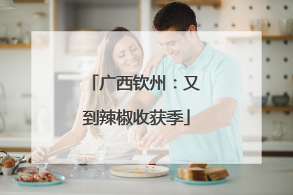 广西钦州：又到辣椒收获季