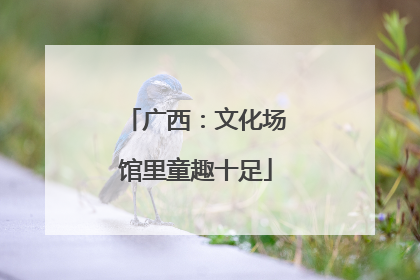 广西：文化场馆里童趣十足