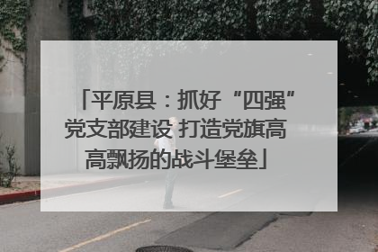 平原县：抓好“四强”党支部建设 打造党旗高高飘扬的战斗堡垒