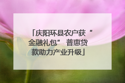 庆阳环县农户获“金融礼包” 普惠贷款助力产业升级