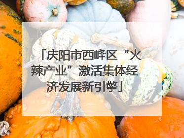 庆阳市西峰区“火辣产业”激活集体经济发展新引擎