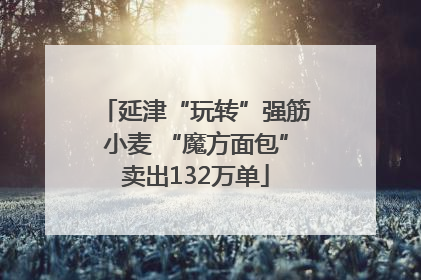 延津“玩转”强筋小麦 “魔方面包”卖出132万单