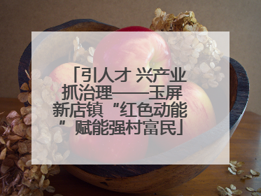 引人才 兴产业 抓治理——玉屏新店镇“红色动能”赋能强村富民