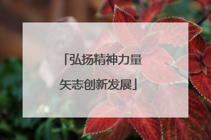 弘扬精神力量 矢志创新发展