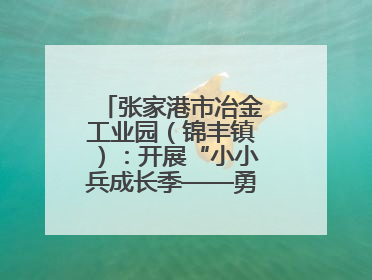 张家港市冶金工业园（锦丰镇）：开展“小小兵成长季——勇敢挑战营”国防启蒙教育活动