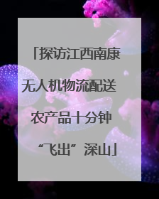 探访江西南康无人机物流配送 农产品十分钟“飞出”深山