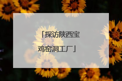 探访陕西宝鸡窑洞工厂