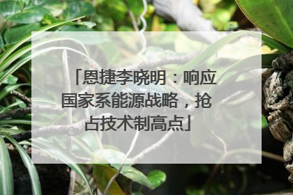 恩捷李晓明：响应国家系能源战略，抢占技术制高点