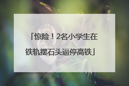 惊险！2名小学生在铁轨摆石头逼停高铁
