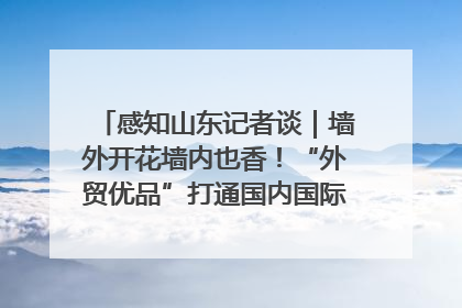感知山东记者谈｜墙外开花墙内也香！“外贸优品”打通国内国际市场“旋转门”