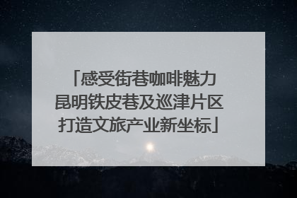 感受街巷咖啡魅力 昆明铁皮巷及巡津片区打造文旅产业新坐标