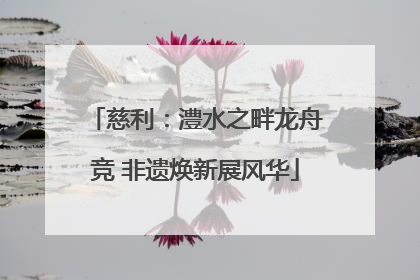 慈利：澧水之畔龙舟竞 非遗焕新展风华