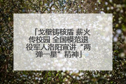 戈壁铸核盾 薪火传校园 全国模范退役军人洛阳宣讲“两弹一星”精神