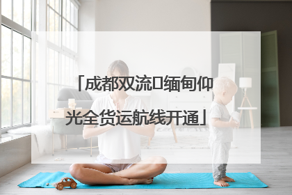 成都双流⇌缅甸仰光全货运航线开通