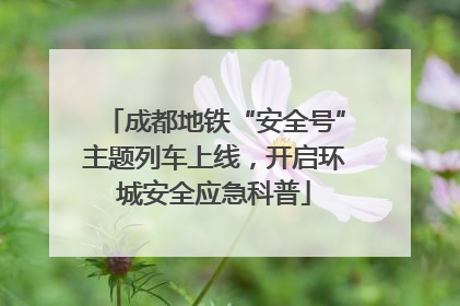 成都地铁“安全号”主题列车上线，开启环城安全应急科普