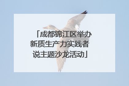 成都锦江区举办新质生产力实践者说主题沙龙活动