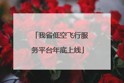 我省低空飞行服务平台年底上线
