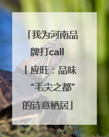 我为河南品牌打call丨应旺：品味“毛尖之都”的诗意栖居