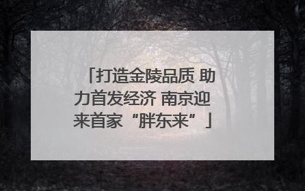 打造金陵品质 助力首发经济 南京迎来首家“胖东来”