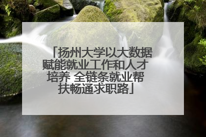 扬州大学以大数据赋能就业工作和人才培养 全链条就业帮扶畅通求职路