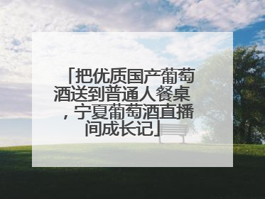把优质国产葡萄酒送到普通人餐桌，宁夏葡萄酒直播间成长记