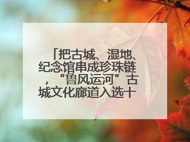 把古城、湿地、纪念馆串成珍珠链，“鲁风运河”古城文化廊道入选十大最美农村路