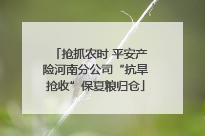 抢抓农时 平安产险河南分公司“抗旱抢收”保夏粮归仓