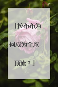 拉布布为何成为全球顶流？