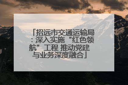 招远市交通运输局：深入实施“红色领航”工程 推动党建与业务深度融合