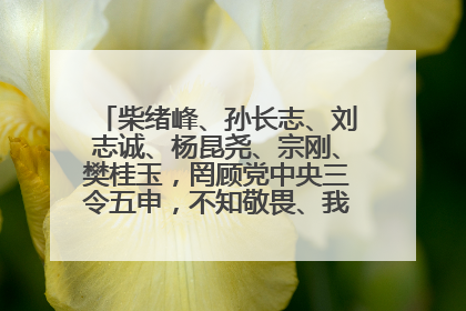 柴绪峰、孙长志、刘志诚、杨昆尧、宗刚、樊桂玉，罔顾党中央三令五申，不知敬畏、我行我素、肆意妄为！