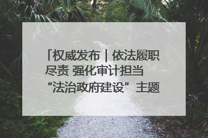 权威发布｜依法履职尽责 强化审计担当 “法治政府建设”主题系列新闻发布会市审计局专场召开