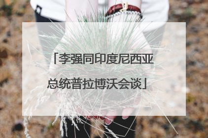 李强同印度尼西亚总统普拉博沃会谈