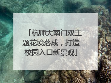 杭师大南门双主题花境落成，打造校园入口新景观