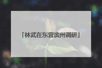 林武在东营滨州调研