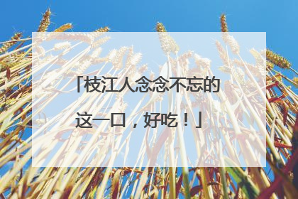 枝江人念念不忘的这一口，好吃！