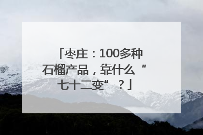 枣庄：100多种石榴产品，靠什么“七十二变”？