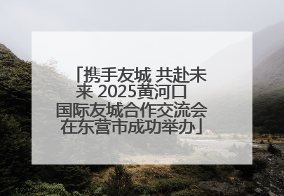 携手友城 共赴未来 2025黄河口国际友城合作交流会在东营市成功举办