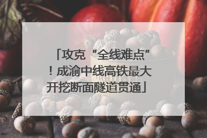 攻克“全线难点”！成渝中线高铁最大开挖断面隧道贯通