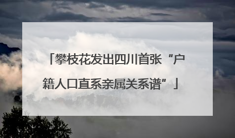 攀枝花发出四川首张“户籍人口直系亲属关系谱”