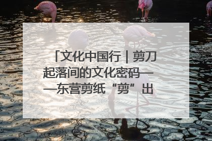 文化中国行｜剪刀起落间的文化密码——东营剪纸“剪”出非遗传承与现代生活的融合之道