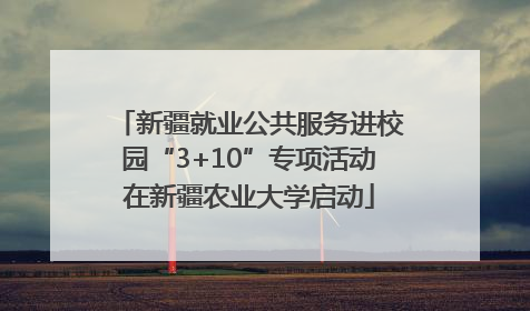 新疆就业公共服务进校园“3+10”专项活动在新疆农业大学启动