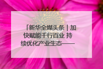 新华全媒头条｜加快赋能千行百业 持续优化产业生态——浙江推动人工智能健康有序发展观察