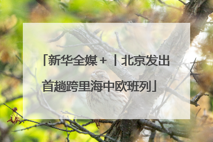 新华全媒＋丨北京发出首趟跨里海中欧班列