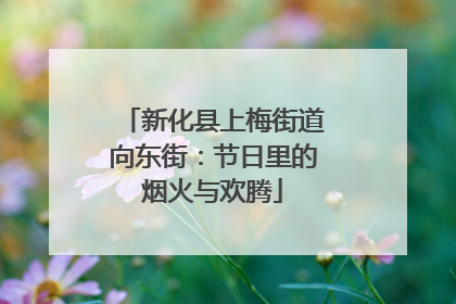 新化县上梅街道向东街：节日里的烟火与欢腾