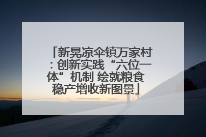 新晃凉伞镇万家村：创新实践“六位一体”机制 绘就粮食稳产增收新图景