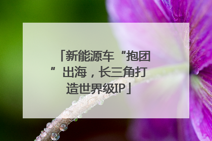 新能源车“抱团”出海，长三角打造世界级IP