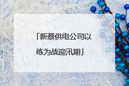 新蔡供电公司以练为战迎汛期